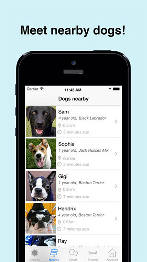 DogApps 2