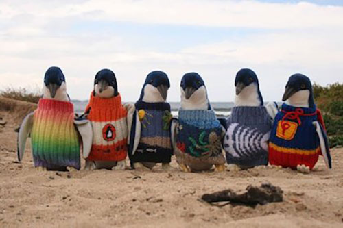 Penguin 7