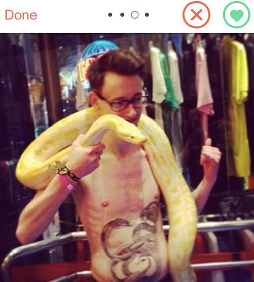 Tinder animals 5