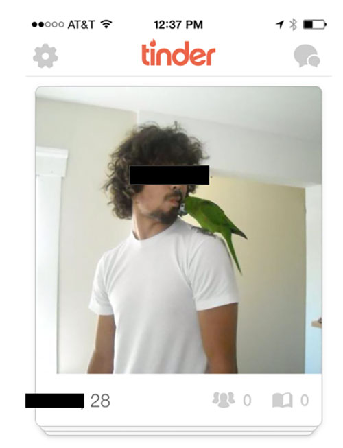 Tinder animals 6