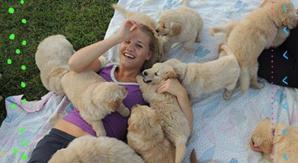 De-Stress With Cuteness at College Puppy Petting Stations