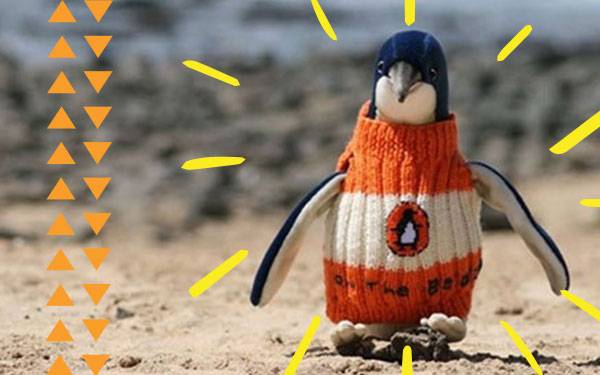 The Oldest (and Sweetest) Man Alive Knits Sweaters for Penguins
