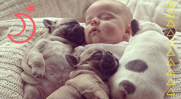 13 of the Cutest Reasons Ever to Celebrate National Puppy Day!