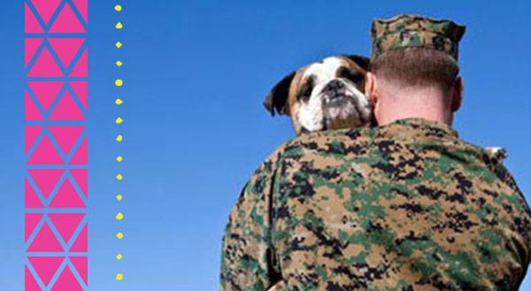 Military Animals That Deserve Purple Heart Medals (and a Few Who Really Don't)