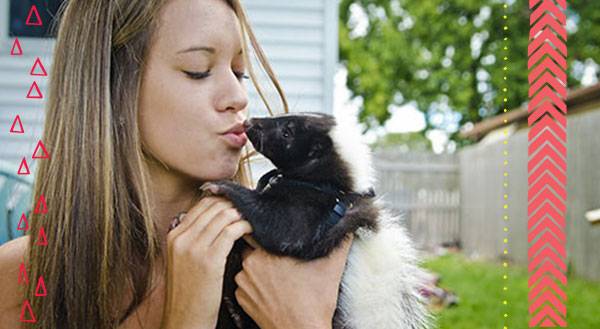 9 Reasons Skunks Don't Stink as Pets