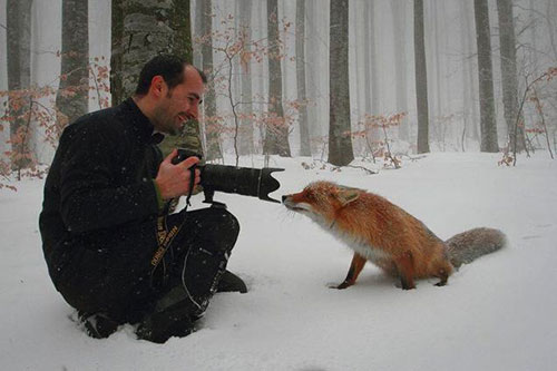 FoxVillage 6