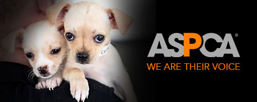 Aspca Banner