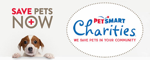 Petsmart Banner