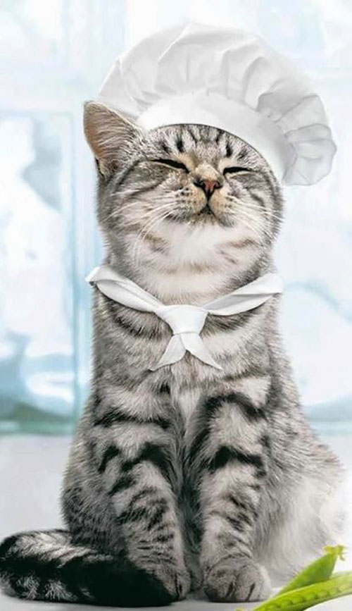 PetWedding 9