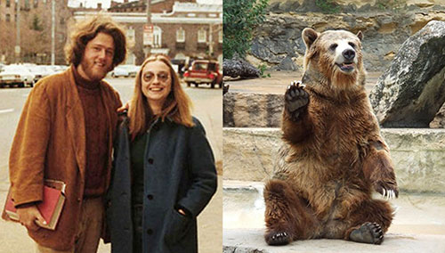 Bear Clinton