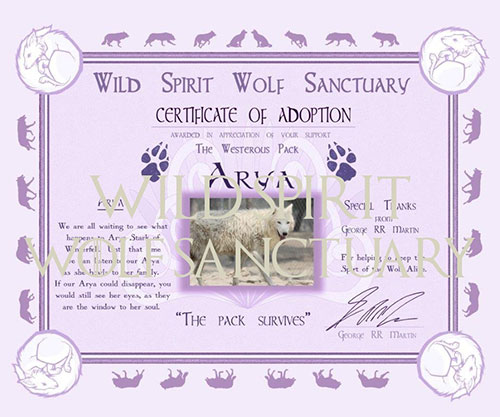 Wolf 5