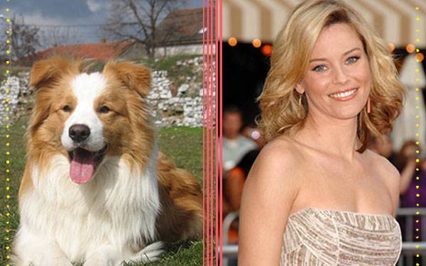 9 Celebs and Their Ideal Canine Counterparts