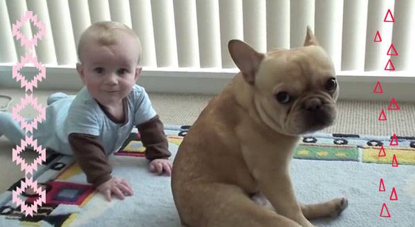 Baby & Bulldog are BFFS… Did Your Ovaries Just Explode, Too? [VIDEO]