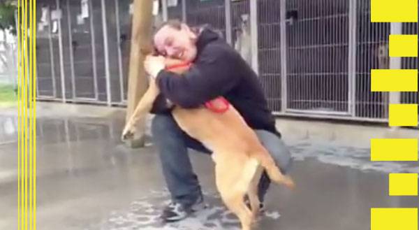 Watch This Man Reunite With His Pup After Serving Jail Time!